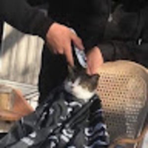 Meet your Posher, Nathan